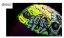 Airform™ Hippy Dippy Helmet