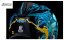 Airform™ Manik'RR MIPS® Helmet - Velikost: XL