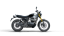 Motocykl Royal Enfield Interceptor Bear 650 Twin (E5+) GOLDEN SHADOW