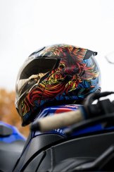 Threshold™ Burn Birdie Burn Modular Helmet