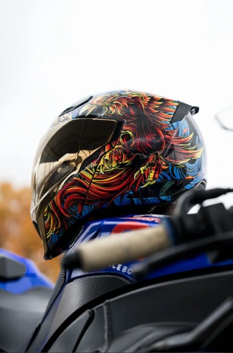 Threshold™ Burn Birdie Burn Modular Helmet