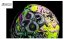 Airform™ Hippy Dippy Helmet